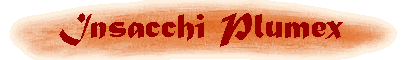 Insacchi Plumex