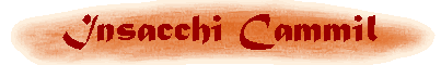 Insacchi Cammil